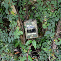 Chinese trail camera manufacturer 2.8C low price game hunting camera trap